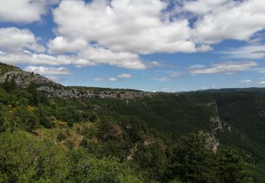 Tocht Stappen Soubès - Soubes - Photo