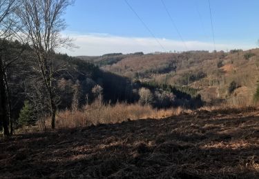 Trail Walking Fougerolles-Saint-Valbert - Balade Sarcenot 1h - Photo