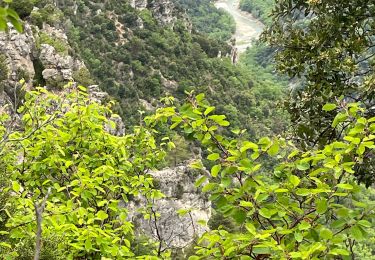 Randonnée Marche Aiguines - Grand Marges Gorges Verdon réel - Photo