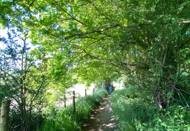 Percorso Marcia Genappe - Promenade de la Cala - Photo