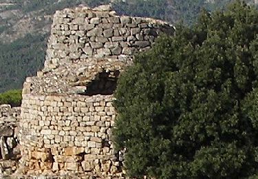 Percorso A piedi Osini - Nuraghi - Photo