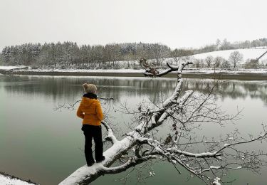 Trail Walking Bütgenbach - Le lac miroir à Bütgenbach   - Photo