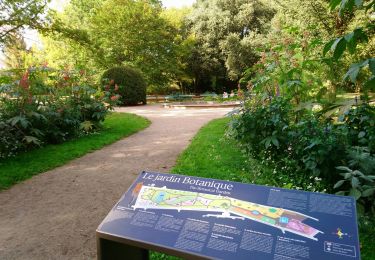 Randonnée Marche Tours - Tours - Prébendes Jardin Botanique - 3.9km 15m 0h45 - 2016 01 24 - Photo