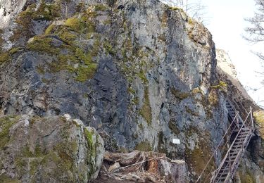 Tocht Mountainbike Rothau - rothau - château de la Roche - Belmont - Perreux - champ'du feu - Rothlach - heidenkopf- rosenwiler - Molsheim - Photo