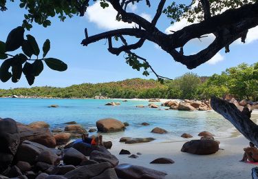 Tour Wandern  - Mon plaisir to anse Lazio - Photo