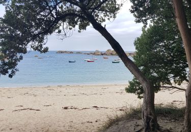 Trail Walking Plounéour-Brignogan-Plages - brignogan - Photo