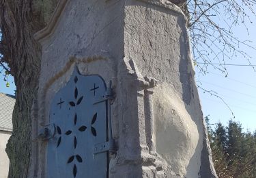 Randonnée V.T.T. Walcourt - Rando VTT au départ de Tarcienne  - Photo