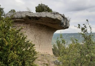 Percorso Marcia Mostuéjouls - Gorges du Tarn (Liaucous) - Photo