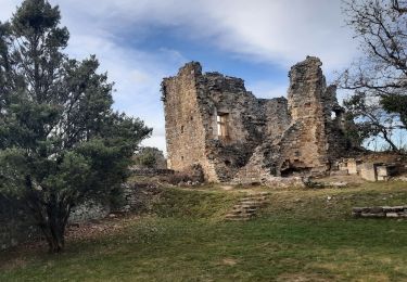 Randonnée Marche Rochefort-en-Valdaine - Le Colombier Rochefort en Valdaine 16km. - Photo