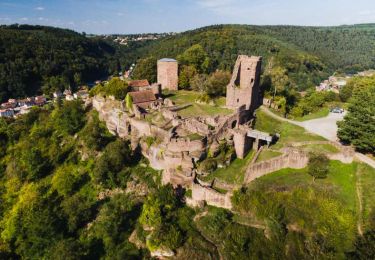 Tour Zu Fuß Lützelburg - Château de Lutzelbourg - Photo