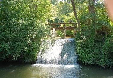 Trail Walking Sebourg - Départ Sebourg  - Photo