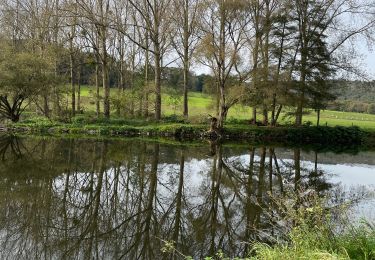 Excursión Senderismo Esneux - Boucle de Ourthe tour du château Esneux - Photo