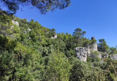 Excursión Senderismo Méounes-lès-Montrieux - reco Jas du Murier - Photo