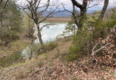 Tour Wandern Céreste - Luberon  - Photo