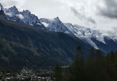 Percorso Marcia Chamonix-Mont-Blanc - CHAMONIX ... La buvette de la Floria.  - Photo