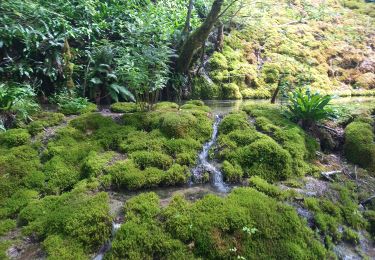 Tour Wandern Bourg-de-Sirod - Perte de l'Ain 15.7.24 - Photo