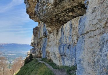 Tocht Stappen Collonges-sous-Salève - Le Coin-Grottes d'Orjobet-La Corraterie-Grande Gorge-Le Coin - Photo
