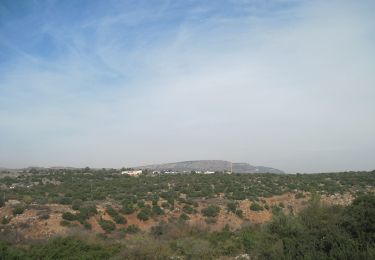 Trail On foot Mevoot HaHermon Regional Council - מצוק רמות נפתלי - Photo