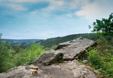 Randonnée Marche Malmedy - Les deux rochers  - Photo