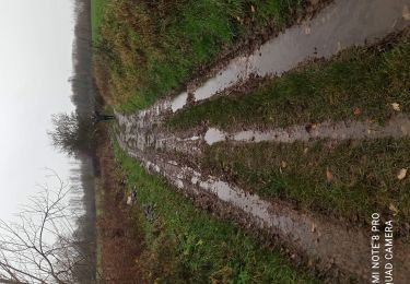 Randonnée Marche Honnelles - boucle à partir de Montignies - Photo