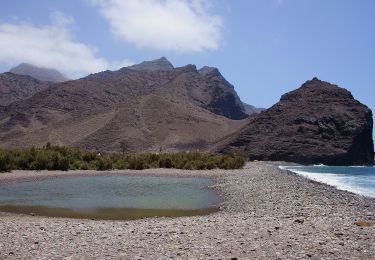 Tocht Te voet La Aldea de San Nicolás - Ruta Playa de El Puerto - Photo