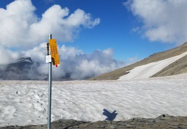 Tour Nordic Walking Crans-Montana - Col du Schwarshorn - Photo