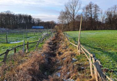 Tour Zu Fuß Egestorf - Nordic Walking 12M Egestorf - Photo