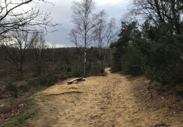 Tocht Stappen Maaseik - Opoeteren: rond Oudsberg - Photo