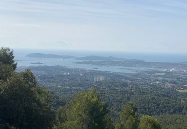 Tour Wandern Ollioules - Chateauvallon  Antoine - Photo