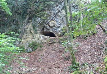 Trail Walking Sentheim - Sentier Geologique Sentheim - Photo
