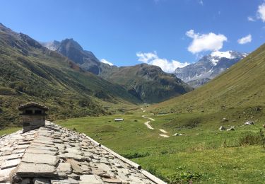 Tour Wandern Pralognan-la-Vanoise - Les Prioux-Alpage Ritort  a/r  - Photo