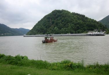 Tour Zu Fuß Haibach ob der Donau - Schlögener Blick - Photo