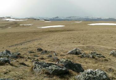 Tocht Stappen Lavigerie - Tour du plateau de Limon au dessus de Lavigerie  - Photo