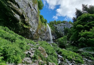 Trail Walking Mont-Dore - 2021-07-05 la grande cascade Mont Dore - Photo