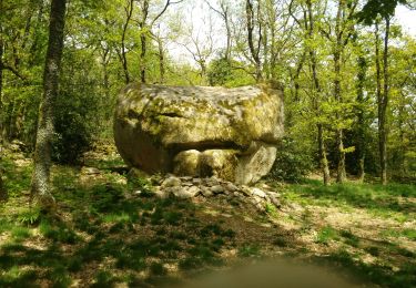 Trail Walking Toulx-Sainte-Croix - les pierres jaumatres (Toulx st croix) - Photo