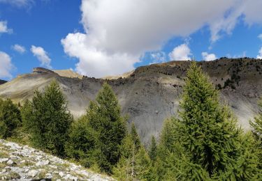 Tour Wandern Saint-Étienne-de-Tinée - Granges et sommet de Chabanals dans le vallon de Demandol - Photo