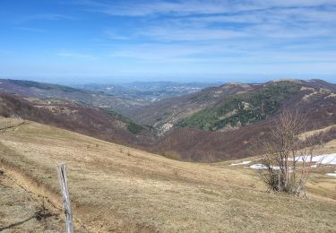 Randonnée A pied Fabbrica Curone - Salogni – Monte Chiappo - Photo