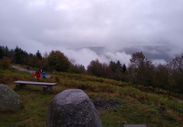 Randonnée Marche Sapois - haut du tot oct rose - Photo