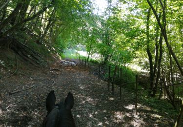 Trail Horseback riding Aiton - boucle Etelaine depuis Aiton - Photo