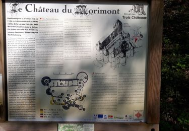 Randonnée V.T.T. Bendorf - Château de Morimont - Photo