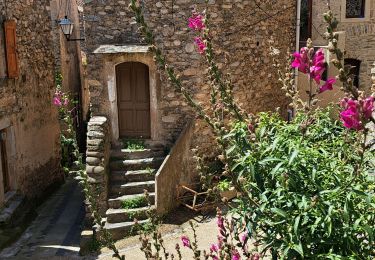 Tocht Stappen Roquebrun - Les ayrolles depuis Ceps - Photo