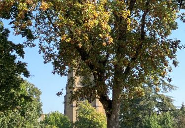 Trail Walking Metz - Metz Pontiffroy-Gare - Photo