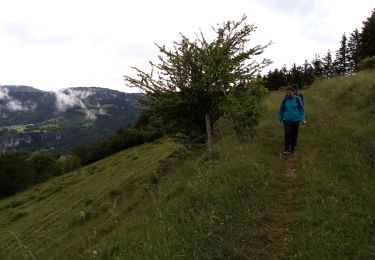 Tour Wandern Saint-Nizier-du-Moucherotte - Le bois de la Plagne- St Nizier du Moucherotte - Photo