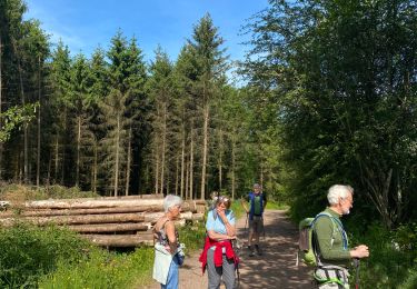 Tour Wandern Rendeux - Cheoux - Photo