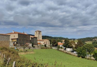 Tocht Stappen Verrières-en-Forez - Au dessus de Verriéres en Forez  - Photo