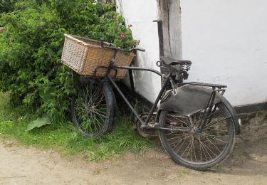Randonnée A pied Genk - Bokrijk Gele zeshoek (voor rolstoel/buggy) - Photo