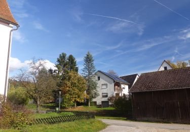 Trail On foot Schnaittach - Reingrub – Osternohe - Photo