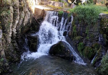 Trail Walking Marche-en-Famenne - Promenade vers le site naturel du fond des vaulx  - Photo