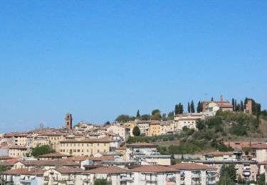 Tocht Te voet Castelfiorentino - Dolce campagna antiche mura 10 - Photo