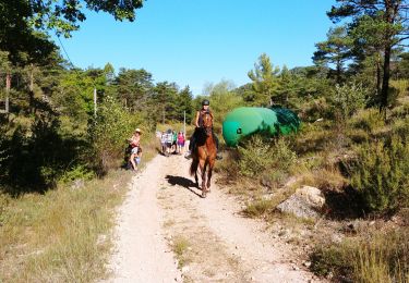 Randonnée Marche Aups - Aups - Photo